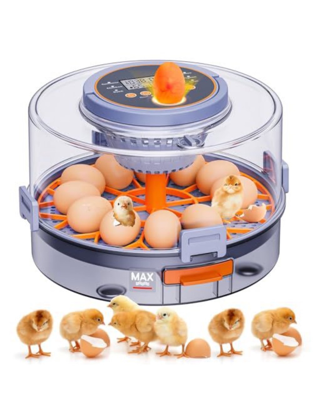 12-Egg Automatic Incubator with 360° Viewing - Gray & Orange